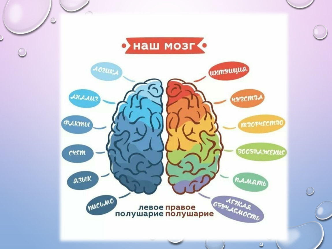 Проверка полушарий мозга картинка